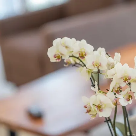 Alte Fischfabrik Inselglueck Appartamento