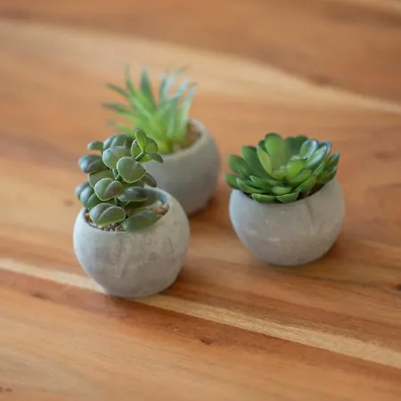 Alte Fischfabrik Inselglueck Appartamento Lauterbach (Rugen)