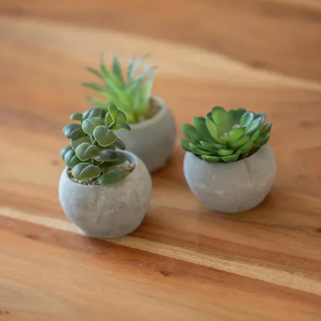 Alte Fischfabrik Inselglueck דירה